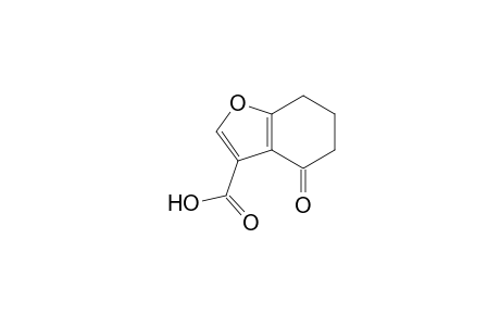4,5,6,7-TETRAHYDRO-4-OXO-BENZOFURAN-3-CARBOXYLIC-ACID
