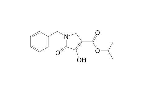 1-benzyl-4-hydroxy-5-oxo-3-pyrroline-3-carboxylic acid, isopropyl ester