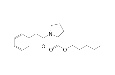 L-Proline, N-(phenylacetyl)-, pentyl ester