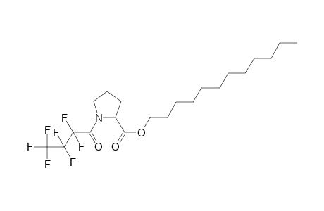 L-Proline, N-heptafluorobutyryl-, dodecyl ester