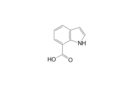 Indole-7-carboxylic acid