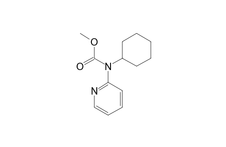 2-(N-CYCLOHEXYL-N-METHOXYCARBONYL)-AMINOPYRIDINE