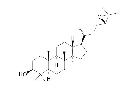(24R/S)-24,25-Epoxydammaradienol