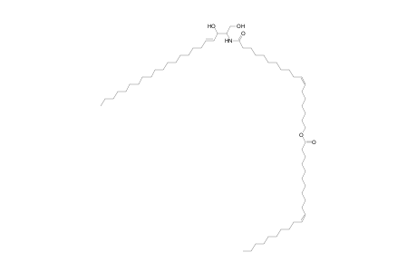 Cer 22:1;2O/18:1;O(FA 21:1)
