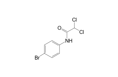 4'-bromo-2,2-dichloroacetanilide