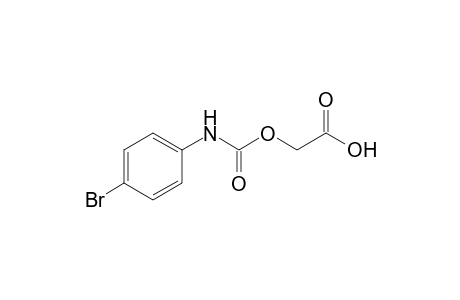 2-[(4-bromoanilino)-oxomethoxy]acetic acid