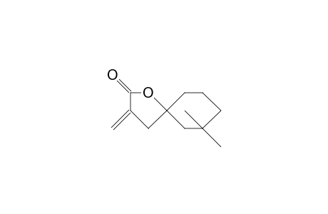 7,7-Dimethyl-3-methylen-1-oxaspiro-[4.5]-decan-2-on