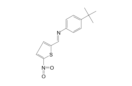 2-{[(p-tert-butylphenyl)imino]methyl}-5-nitrothiophene
