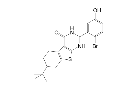 2-(2-bromanyl-5-oxidanyl-phenyl)-7-tert-butyl-2,3,5,6,7,8-hexahydro-1H-[1]benzothiolo[2,3-d]pyrimidin-4-one