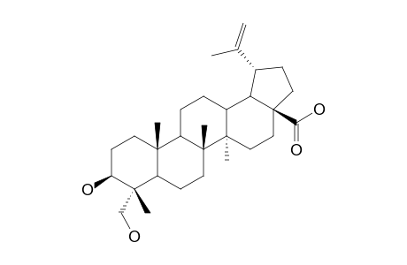 23-HYDROXYBETULINIC-ACID