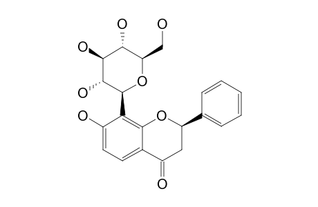 SCHOEPFIAJASMIN-E