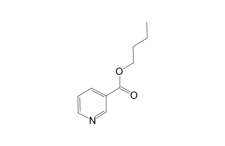 nicotinic acid, butyl ester