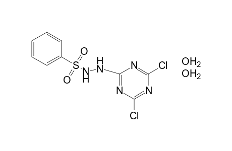 benzenesulfonic acid, 2-(4,6-dichloro-s-triazin-2-yl)hydrazide, dihydrate