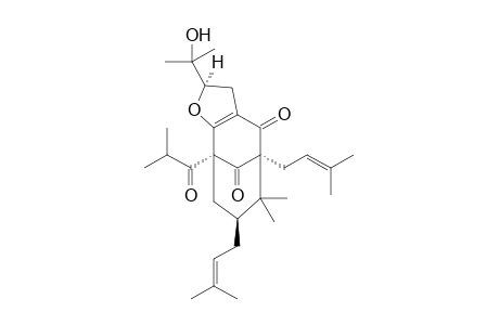 GARCINIELLIPTONE-L;9,9-DIMETHYL-6-ALPHA,8-BETA-DI-(GAMMA,GAMMA-DIMETHYLALLYL)-3,4-[2-BETA-(2'-HYDROXYISOPROPYL)-2,3-DIHYDROFURAN]-2-ALPHA-(1-OXO-2-