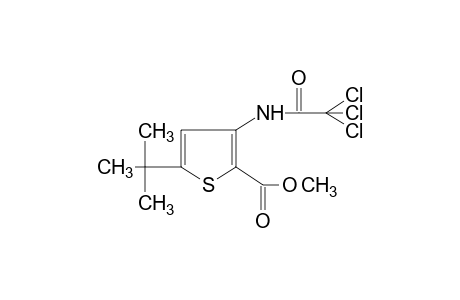 5-tert-butyl-3-(2,2,2-trichloroacetamido)-2-thiophenecarboxylic acid, methyl ester