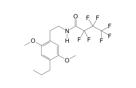 2C-P HFB