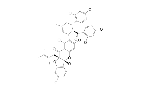 SANGGENON-D