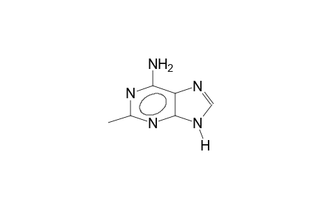 2-methyladenine