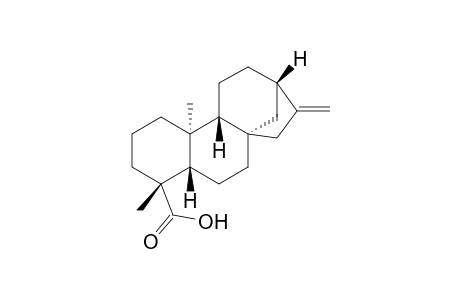 Ent-kaur-16-en-19-oic acid