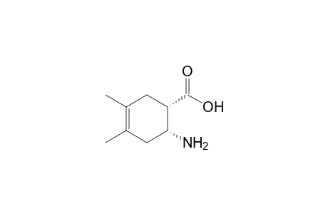 (1S,6R)-6-Amino-3,4-dimethylcyclohex-3-ene-1-carboxylic acid