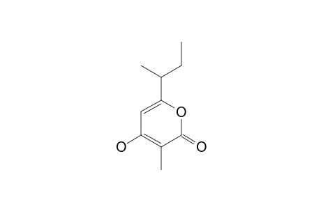PHOMAPYRONE-C;6-(1-METHYLPROPYL]-4-HYDROXY-3-METHYL-2-PYRONE