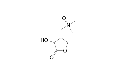 3-Hydroxy-4-(dimethylamino)methylfuran-2-one N-oxide
