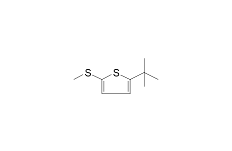 THIOPHENE, 2-(1,1-DIMETHYLETHYL)-5-(METHYLTHIO)-