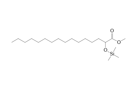 Hexadecanoic acid, 2-[(trimethylsilyl)oxy]-, methyl ester