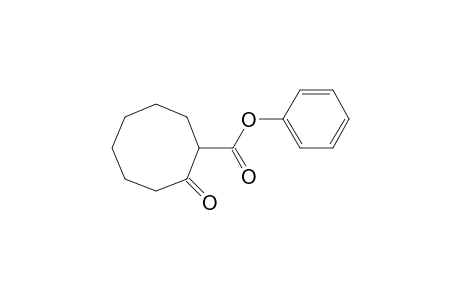 phenyl 2-Oxocyclooctanecarboxylate
