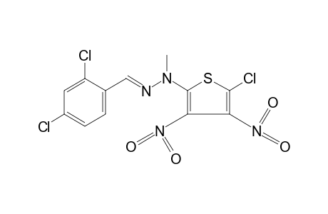 2,4-DICHLOROBENZALDEHYDE, (5-CHLORO-3,4-DINITRO-2-THIENYL)METHYLHYDRAZONE