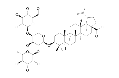 3-BETA-[(O-ALPHA-L-RHAMNOPYRANOSYL-(1->2)-[O-BETA-D-GLUCOPYRANOSYL-(1->4)]-ALPHA-L-ARABINOPYRANOSYL)-OXY]-LUP-20-(29)-EN-28-OIC_ACID