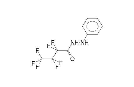 PERFLUOROBUTYRIC ACID, PHENYLHYDRAZIDE