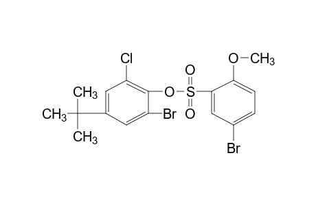 2-bromo-4-tert-butyl-6-chlorophenol, 5-bromo-2-methoxybenzenesulfonate