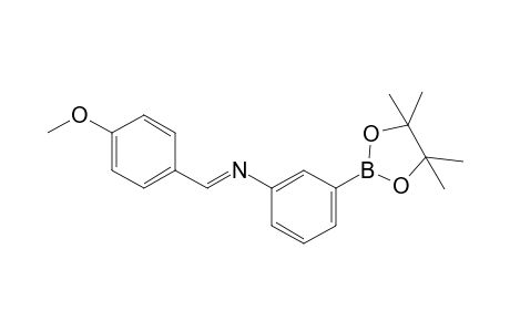 3-(4-Methoxybenzylidineamino)benzeneboronic acid pinacol ester