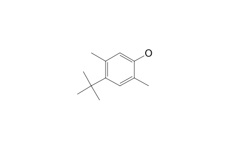 Phenol, 4-(1,1-dimethylethyl)-2,5-dimethyl-