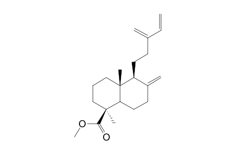 (1S,4aR,5S)-1,4a-dimethyl-6-methylene-5-(3-methylenepent-4-enyl)decalin-1-carboxylic acid methyl ester