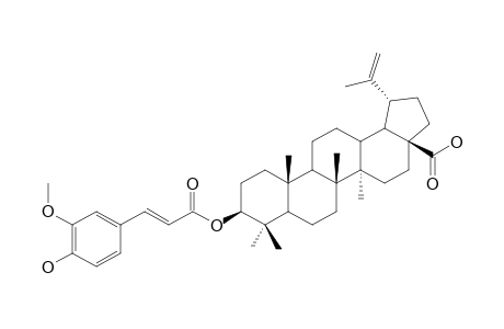 3-O-BETA-TRANS-FERULOYLBETULINIC_ACID