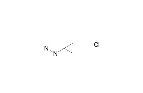 tert-Butylhydrazine hydrochloride