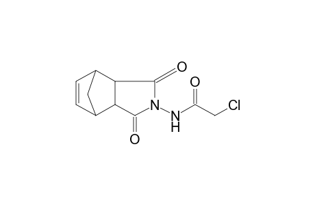 N-(2-Chloroacetamido)-5-norbornene-2,3-dicarboximide