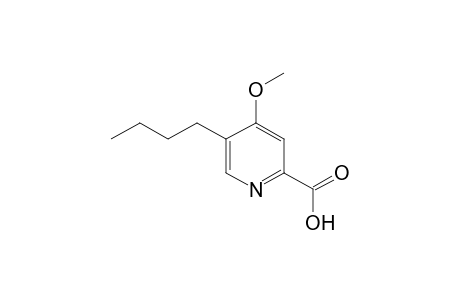 5-butyl-4-methoxypicolinic acid