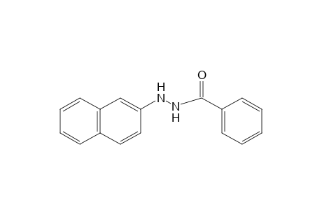 benzoic acid, 2-(2-naphthyl)hydrazide