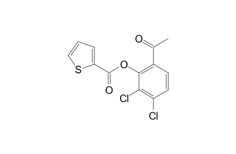 2-thiophenecarboxylic acid, ester with 3',4'-dichloro-2'-hydroxyacetophenone