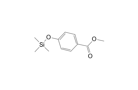 Methylparaben TMS