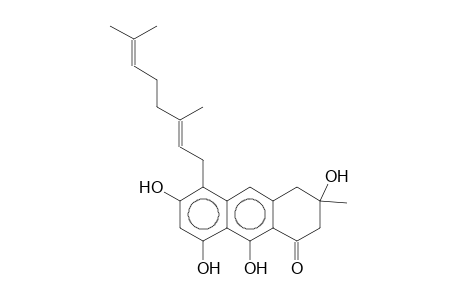 VISMIONE L