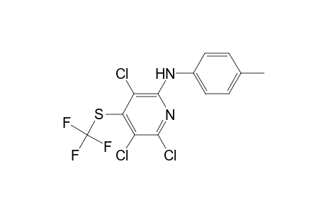 3,5,6-TRICHLORO-2-(4-TOLYLAMINO)-4-TRIFLUOROMETHYLTHIOPYRIDINE