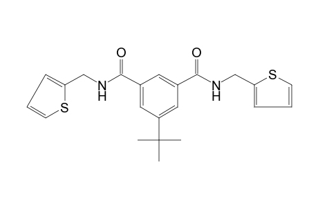 N,N'-bis(2-thenyl)-5-tert-butylisophthalamide