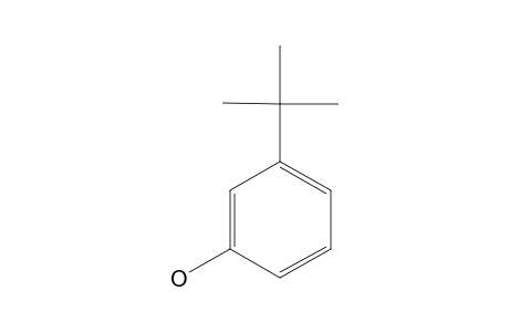 3-Tert-butylphenol