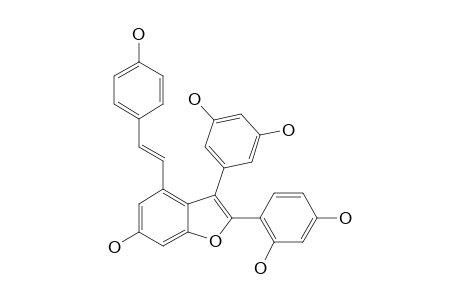 GNETUHAININ-B