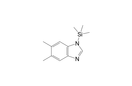 5,6-Dimethyl-benzimidazole, 1TMS