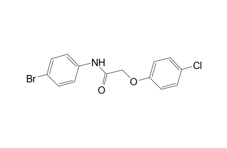 N-(4-Bromophenyl)-2-(4-chlorophenoxy)acetamide